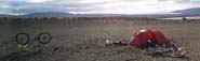 Wild camping with passing horses