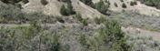 Cottonwood Pass Road