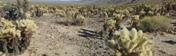Joshua Tree National Park