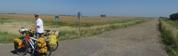 Grassland