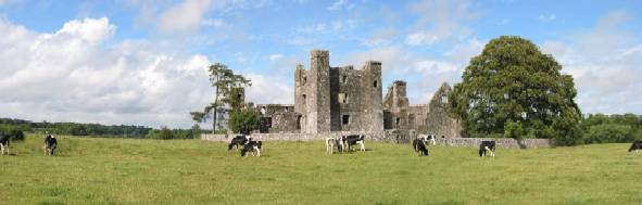 Bective Abbey