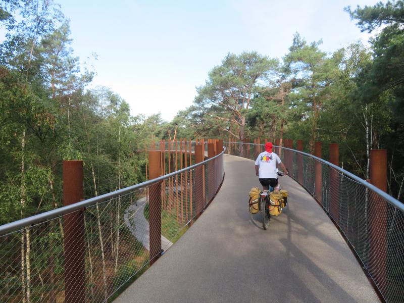 Riding between the trees (Belgium)